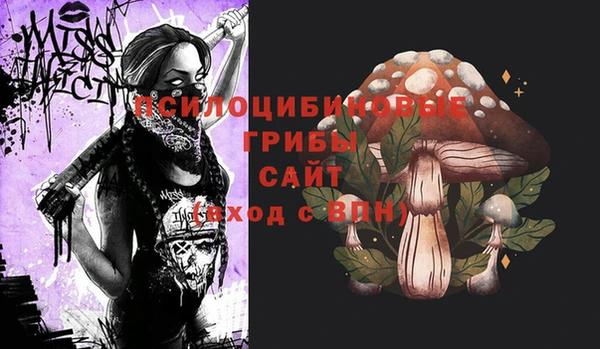 таблы Верея
